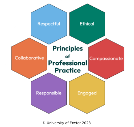 Principles of professional practice chart